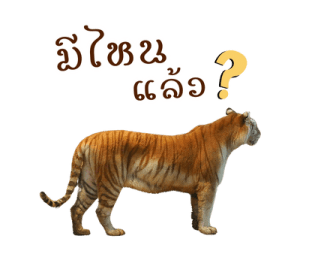 เอวา & ลูน่า - คนสวยขา รูปที่ 23