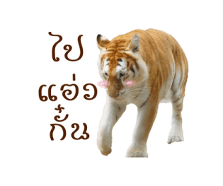 เอวา & ลูน่า - คนสวยขา รูปที่ 24