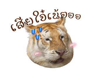 ลายที่ 49