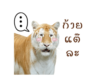 เอวา & ลูน่า - คนสวยขา รูปที่ 26