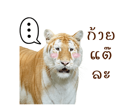 ลายที่ 26