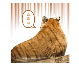 ลายที่ 55