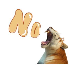 ลายที่ 57