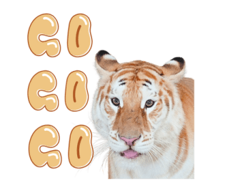 ลายที่ 59