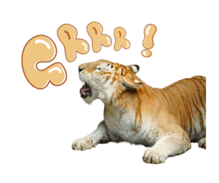 ลายที่ 61