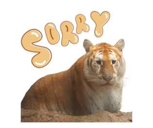 ลายที่ 63