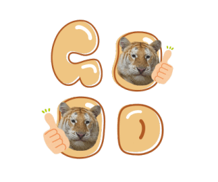 ลายที่ 67