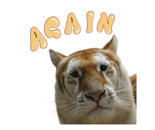 ลายที่ 75