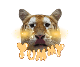 ลายที่ 79