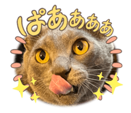 735540358
