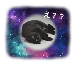 735551323