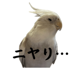 735560106