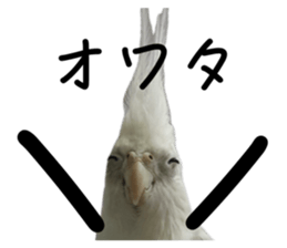 735560118