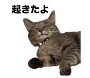 735560535