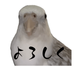 735566049