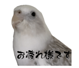 735566050