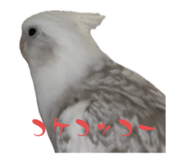 735566052