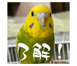 735566054