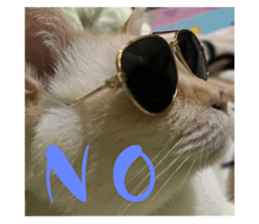 735566066