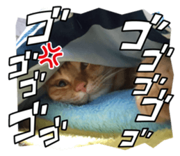 735580338