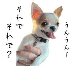 735580442