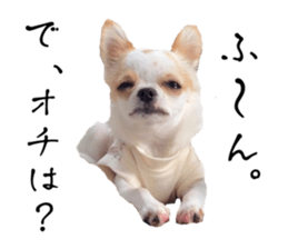 735580443