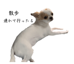 735580448