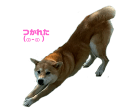 735582875
