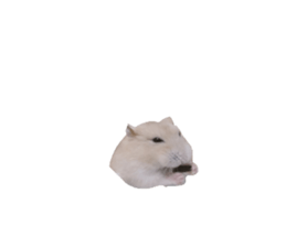 735607670