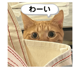735608670