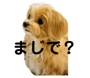 735614005