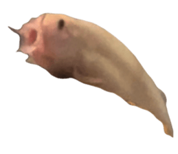 735615147