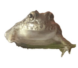 735615155