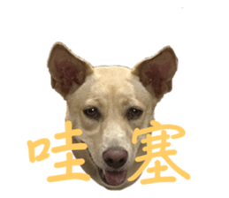 735635801
