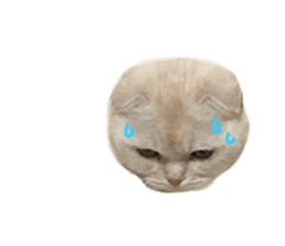 735650194