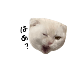 735650196
