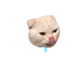 735650197