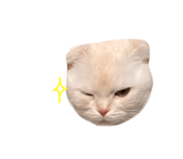 735650198