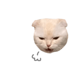 735650202