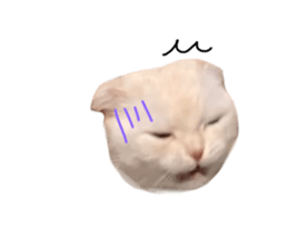 735650203