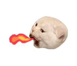 735650204
