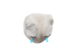 735650205