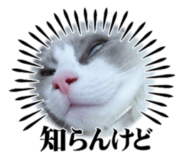 735650323