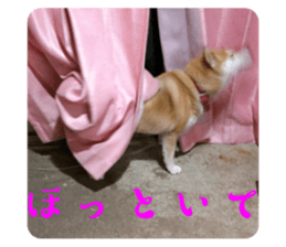 735652770