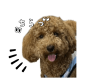 735656827