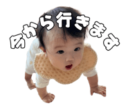735668526