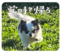 735669953