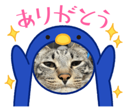 735675048