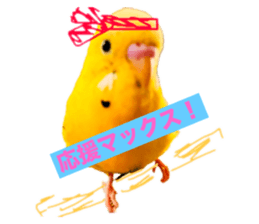 735680915