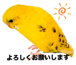 735680918